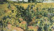 Joaquin Sorolla Vineyard oil